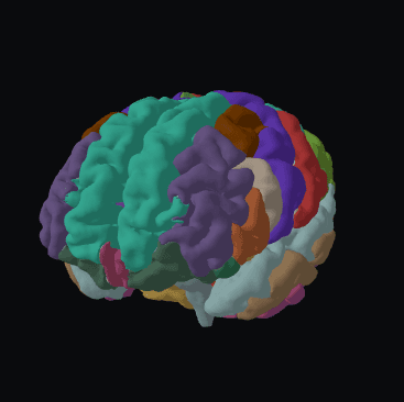 3D brain segmentation output from NIfTI MRI data
