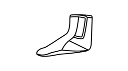 Ankle