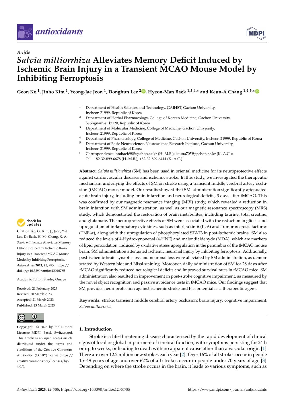 Salvia miltiorrhiza Alleviates Memory Deficit Induced by Ischemic Brain Injury in a Transient MCAO Mouse Model by Inhibiting Ferroptosis 논문 미리보기